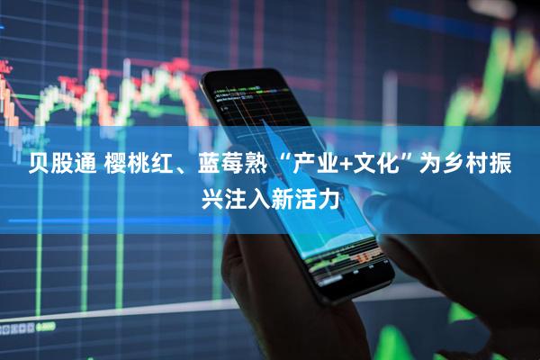 贝股通 樱桃红、蓝莓熟 “产业+文化”为乡村振兴注入新活力