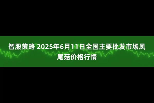 智股策略 2025年6月11日全国主要批发市场凤尾菇价格行情