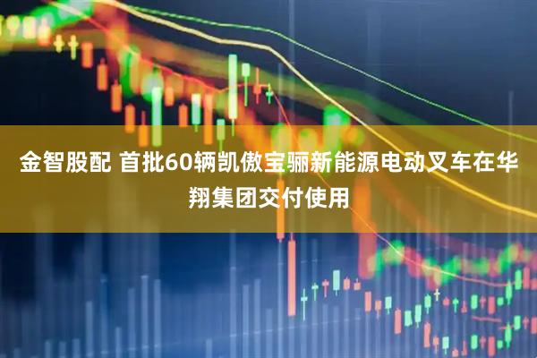 金智股配 首批60辆凯傲宝骊新能源电动叉车在华翔集团交付使用